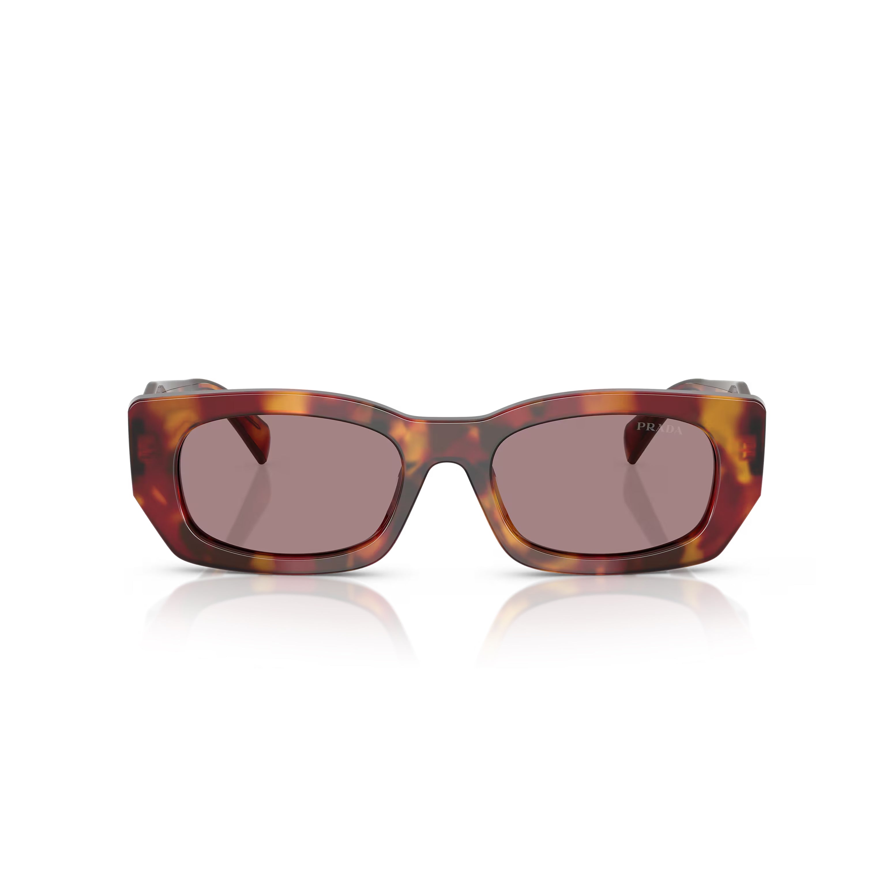 Prada PR B05S 22A20I 53 - Papoula Tartaruga/Bordeaux