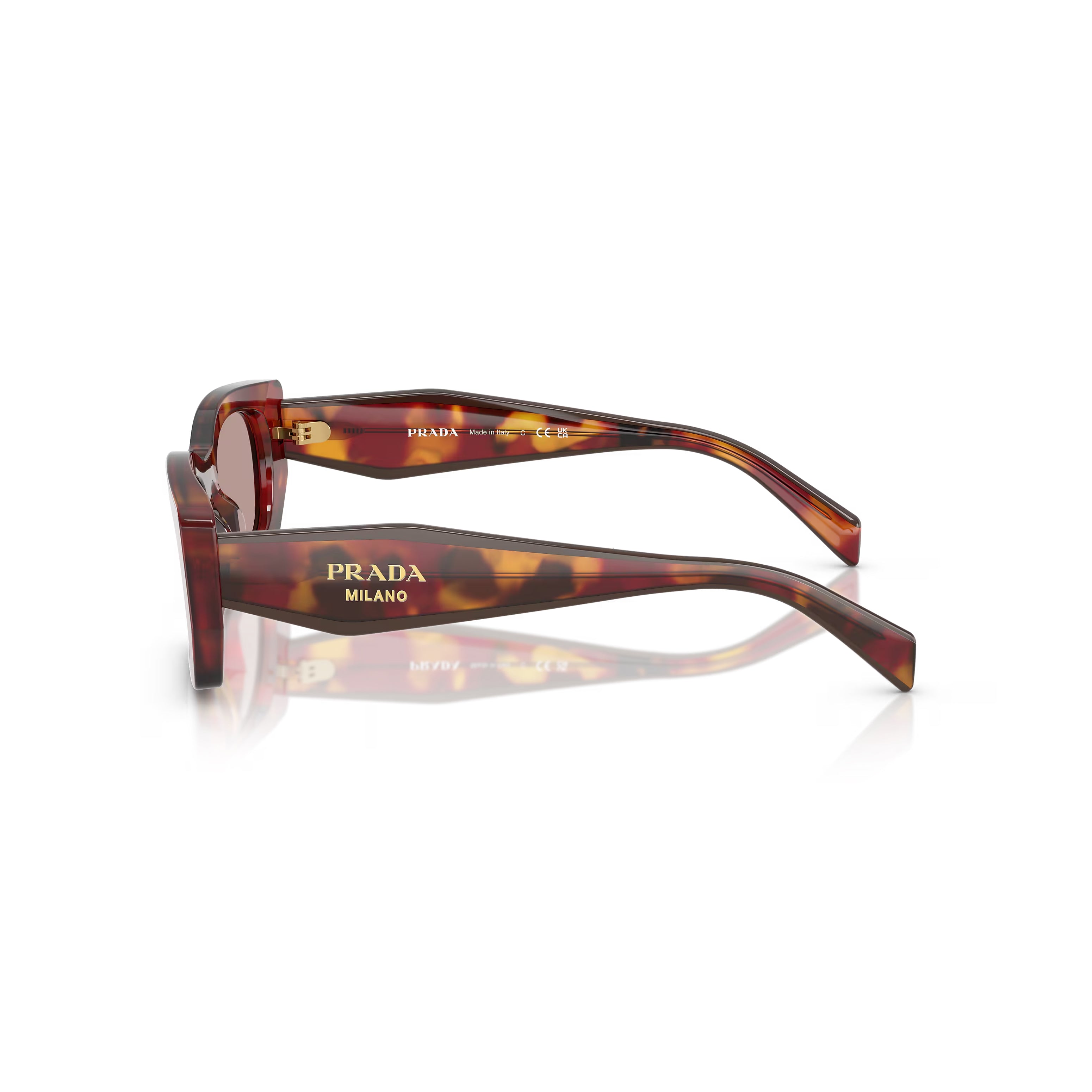 Prada PR B05S 22A20I 53 - Papoula Tartaruga/Bordeaux