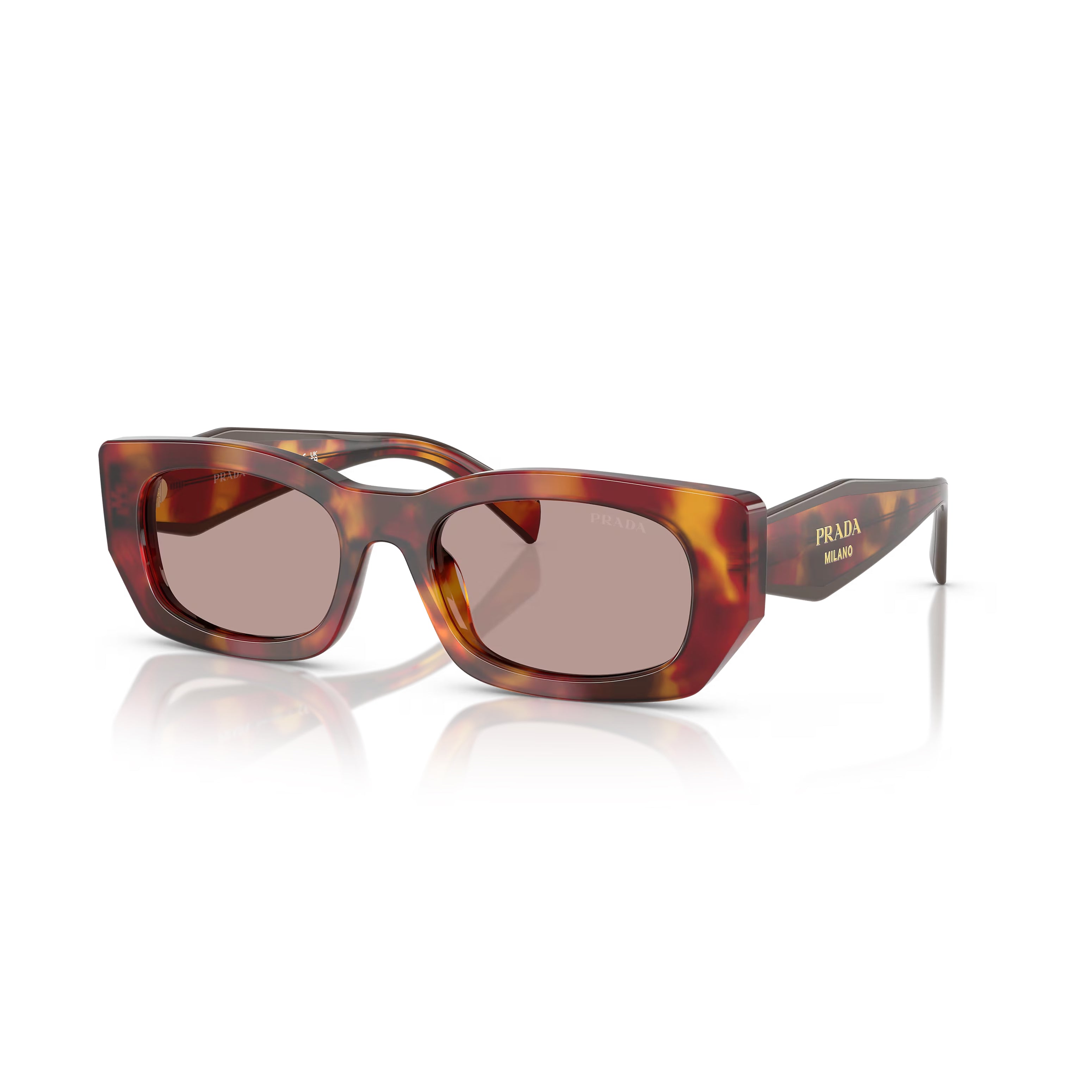 Prada PR B05S 22A20I 53 - Papoula Tartaruga/Bordeaux