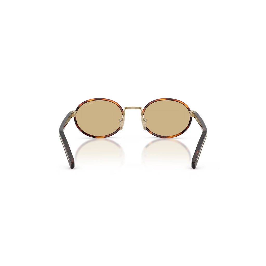 Prada PR B56S 21E10R 52 - Tartaruga Raiz