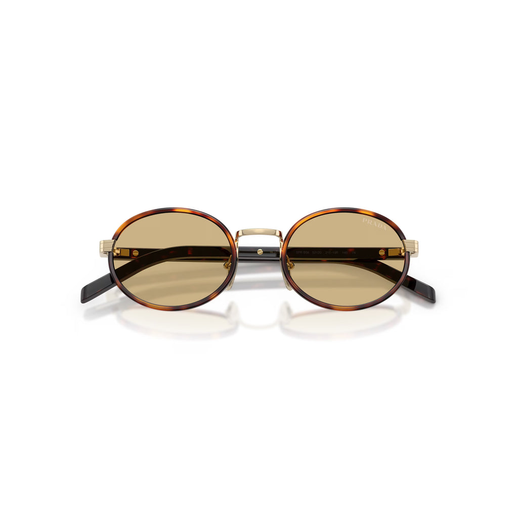 Prada PR B56S 21E10R 52 - Tartaruga Raiz