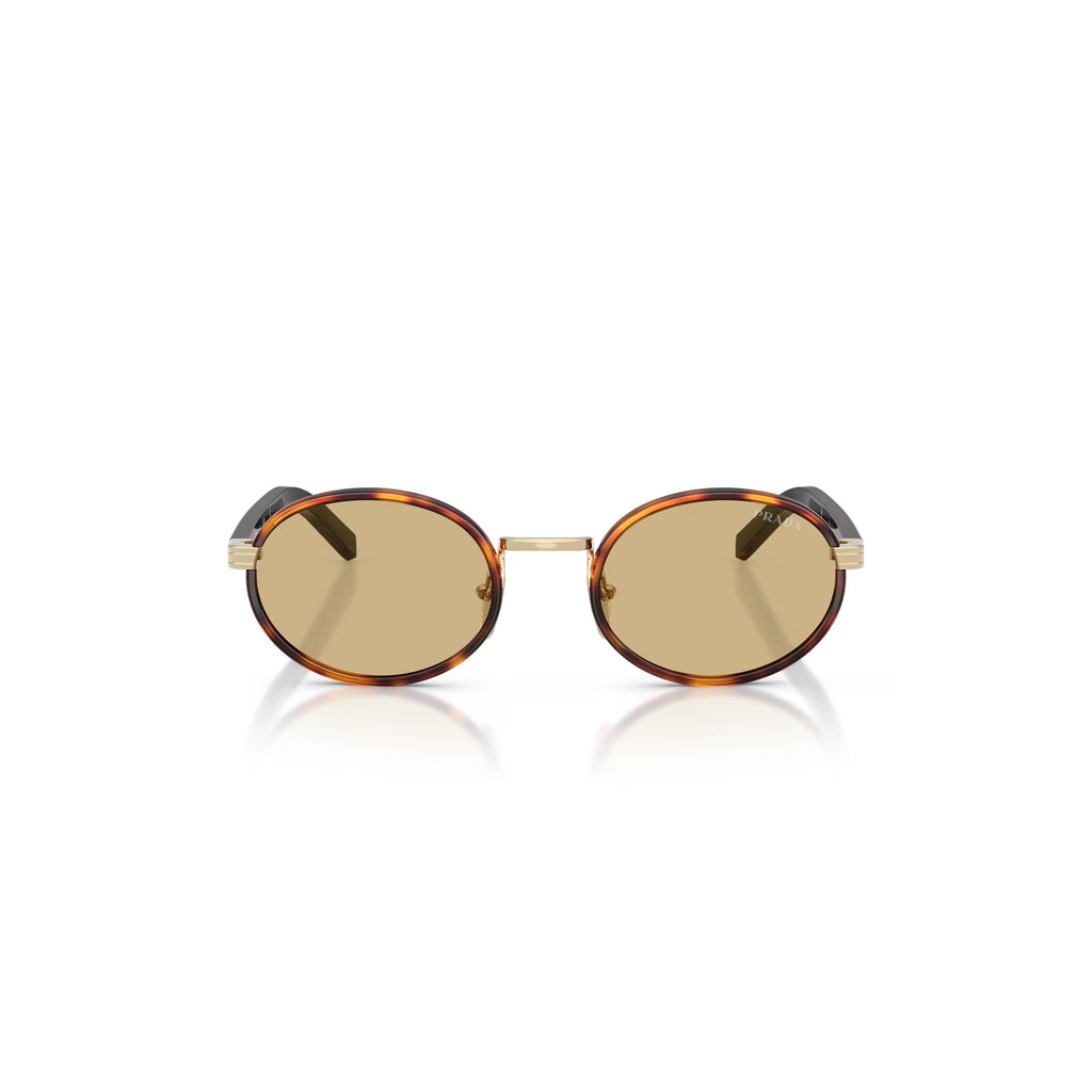 Prada PR B56S 21E10R 52 - Tartaruga Raiz